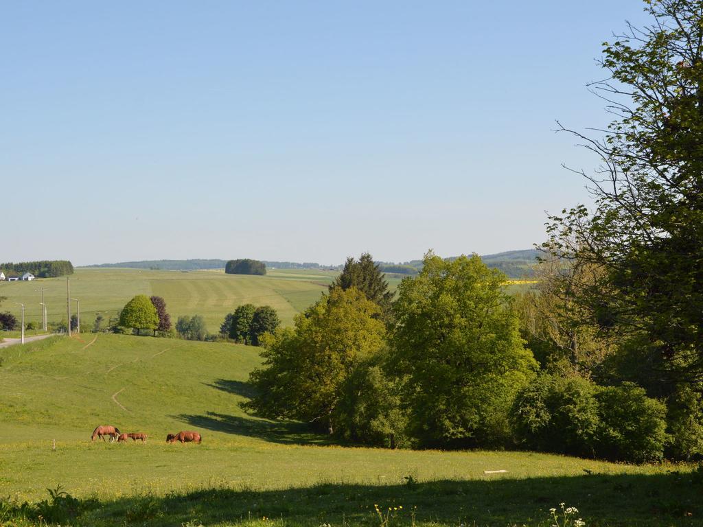 Attached Gite On The Edge Of The Forest Trois-Ponts Extérieur photo