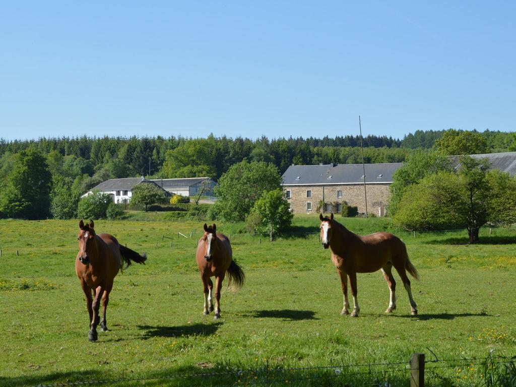 Attached Gite On The Edge Of The Forest Trois-Ponts Extérieur photo